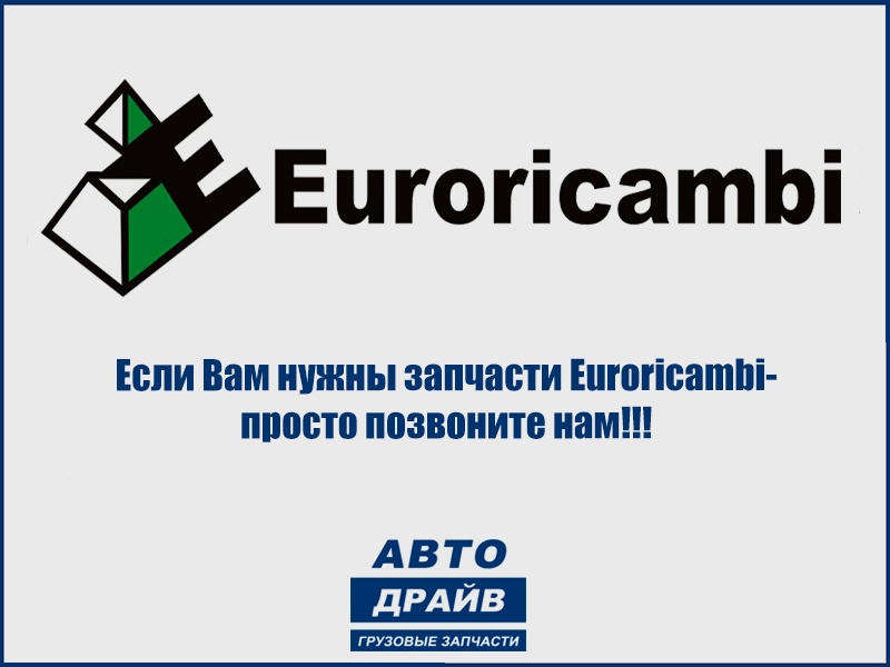 Фото Гайка хвостовика MAN 81906850311 EURORICAMBI 60.17.0101