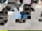 Фото 25CH505 Головка блока цилиндров MAN TGA 1