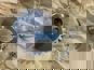 Фото 8851550 масляный насос коробки отбора мощности Ивеко Еврокарго 1