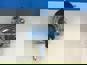 Фото AST SILVER DZ9112230178 пГУ для Шакман Х3000 D=102 корзина 430 мм с клапаном выход вбок/выход 1