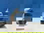 Фото AST SMART 1023010M002060A ролик натяжной для Faw J6 J7 CA6DM2 с 2018 г. 2