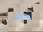 Фото AUGER 10052 наконечник рулевой тяги Мерседес Актрос правый