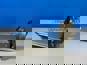 Фото AUGER 105876 выпускная заслонка моторного тормоза для Ман Тгл Тгм