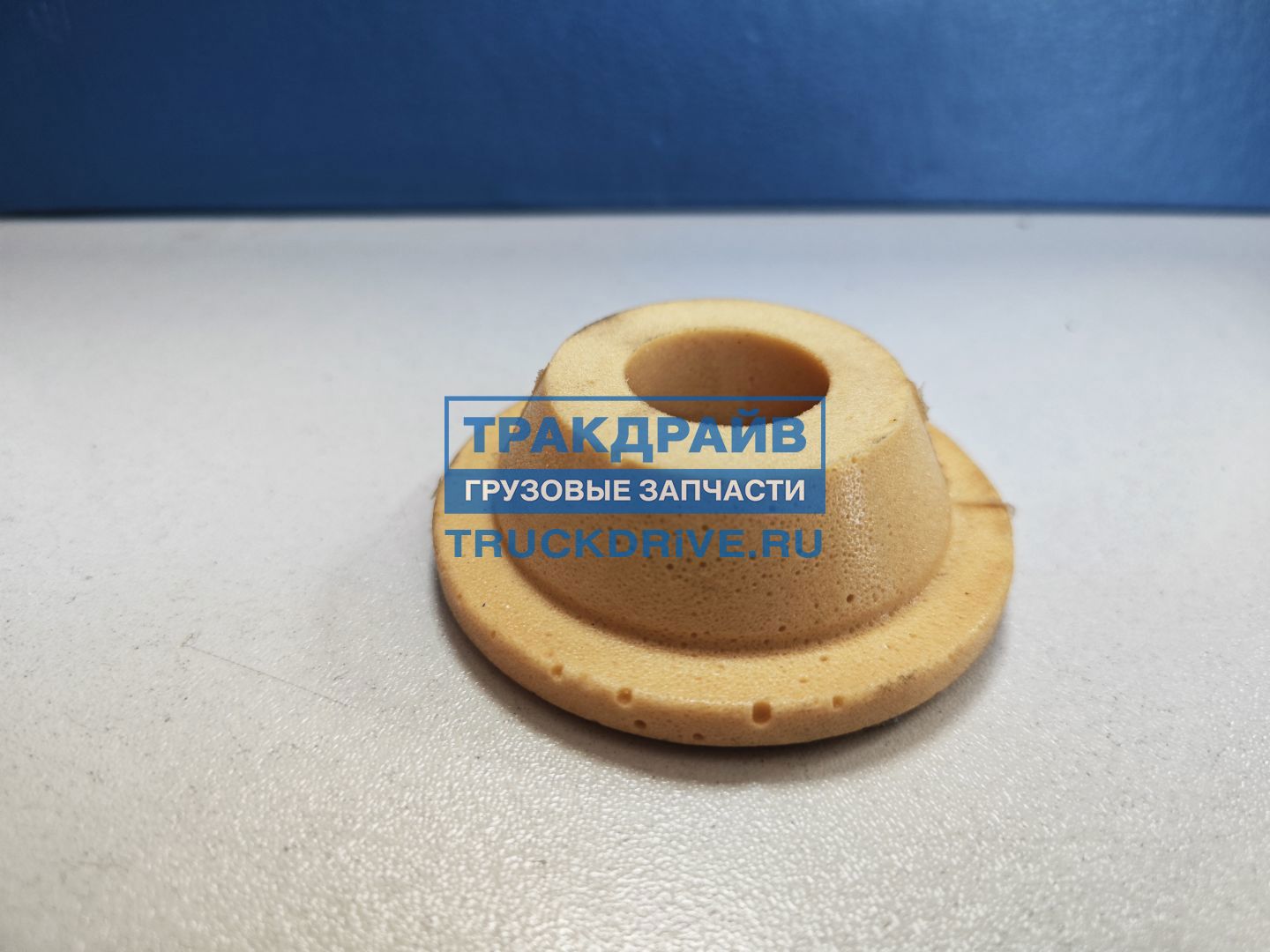 Фото BAGEN T220243 втулка кабины задняя для автомобилей Скания 4 серии