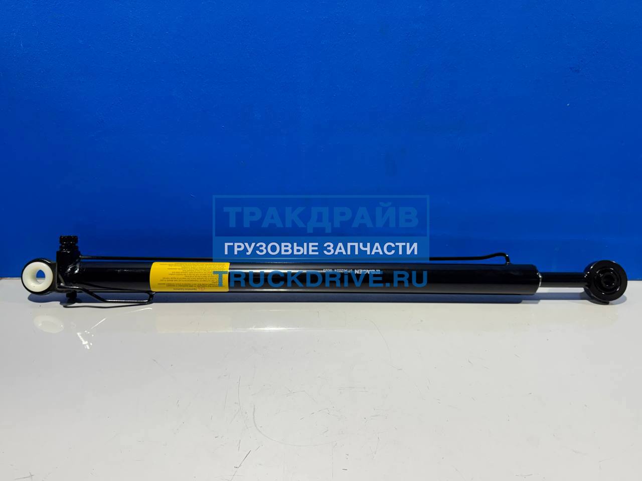 Фото BAGEN T962024 цилиндр подъема кабины для МАН ТГА