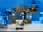 Фото BORGWARNER 13879980030 турбокомпрессор ДАФ 105 до 410 л.с. 13879980030 (лопасти из никеля) 8