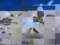 Фото BORGWARNER 20005383 вискомуфта Маз 4370 4371 двигатель ММЗ в сборе 
