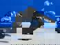 Фото BOSCH KS00000697 насос ГУРа AUDI A4 A5 Q5 3