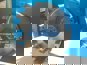 Фото CHINA 7401005115 маховик КАМАЗ 740, 740.10, 7403.10 1