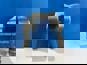 Фото CHINA WG2214260013 вилка сцепления КПП для Ситрак C7H Хово T5G 1