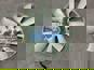 Фото COJALI 7195401 муфта вентилятора Форд Карго F-max с крыльчаткой
