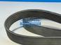 Фото CONTITECH 782063CO ремень Thermo King UT-1000R UT-1400R 3