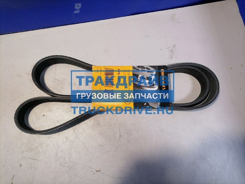 Ремень ручейковый для Ман с двигателем D0836LOH04 8PK1550 CONTITECH ...