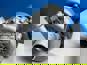 Фото CZ STRAKONICE К368601 турбоккомпрессор МАЗ МЗКТ БЕЛАЗ двигатели ТМЗ-8421,8424,8435,84352,8481,8
