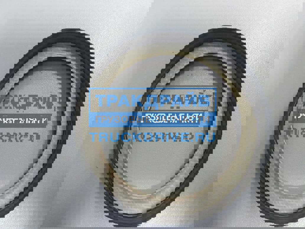 Сальник вискомуфты DAF 85CF 1669679 DAF купить недорого