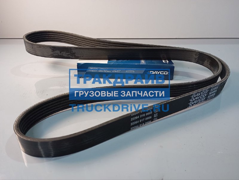 Фото DAYCO 506035806DY ремень Carrier Vector 1350 (двигатель - электромотор)