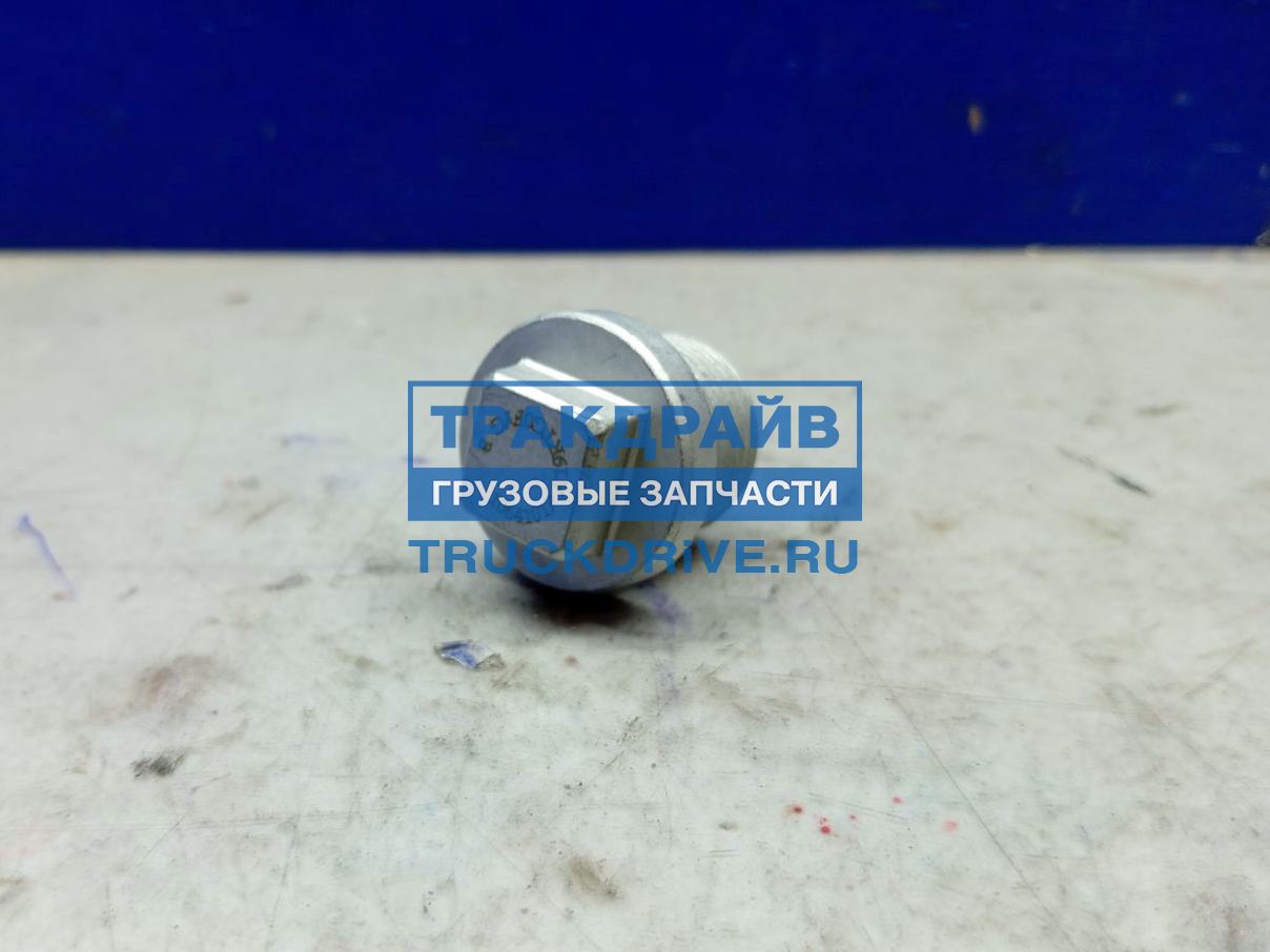 Фото DAYUN 10641017 пробка масляная грузовиков DAYUN