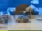 Фото DT SPARE PARTS 319020 турбокомпрессор Ман Тга Тгс Тгх Ф2000 Ф90