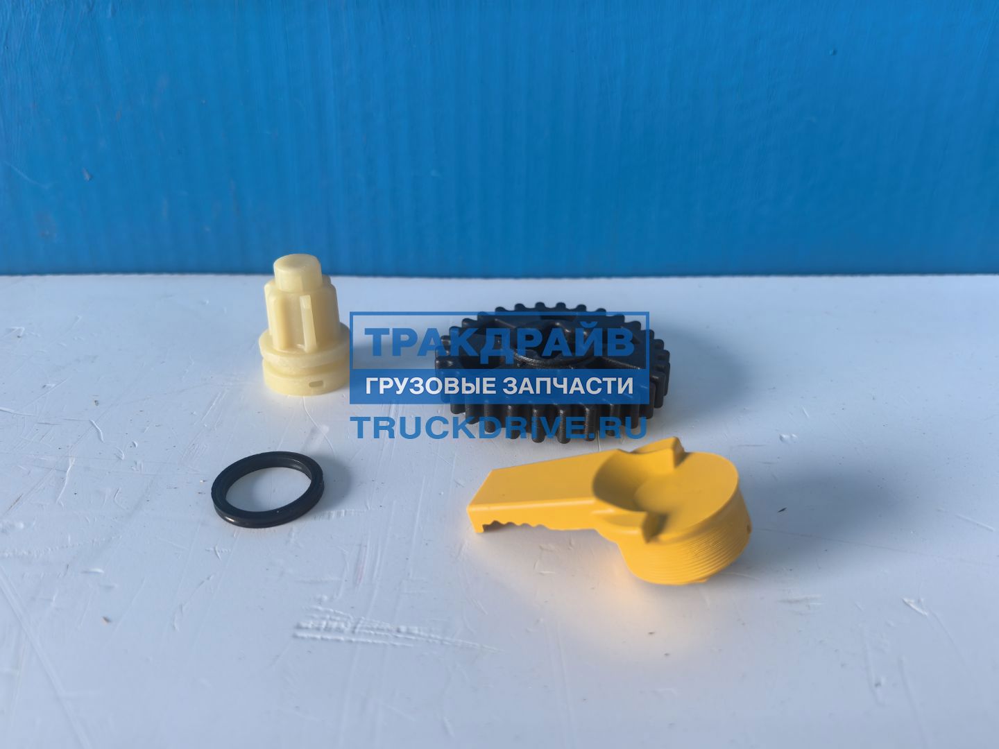 Фото ENTERPRISE E5700024 ремкомплект суппорта для Haldex DBT22LT (вал регулировки+шестерня)