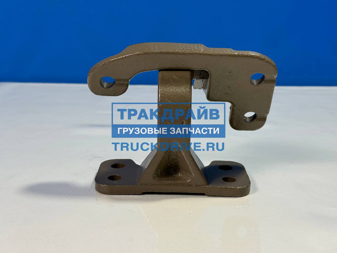 Фото ENTERPRISE E9806038 шарнир двери левой нижний для Dongfeng GX DFH4180