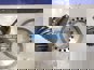 Фото EURORICAMBI 56170355 главная пара редуктора грузовиков MAN 29:24 2