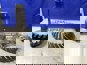 Фото EURORICAMBI 56170355 главная пара редуктора грузовиков MAN 29:24 3