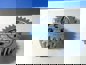 Фото EURORICAMBI 88170548 шестерня солнечная Renault Kerax Premium Magnum двигатель DXi13 26 зубьев 