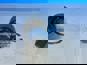 Фото FAW 062480059000 сайлентблок реактивной тяги задней подвески для FAW J7 2