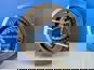 Фото FAW 12JSD160T17071402 синхронизатор делителя КПП 12JS160T 12JS180T 12JS200T Фав Шакман Джак 3
