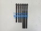 Фото FEBI BILSTEIN 11262 комплект болтов ГБЦ Ман Тга D2866-2876-2840-2842 ГБЦ с 4 клапанами (x6/x10/