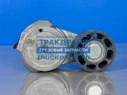 Фото FEBI BILSTEIN 183115 ролик натяжной Iveco Stralis двигатель Cursor 11