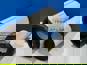 Фото FILMANT AF25962AF25963 фильтр воздушный Камаз 4308 AF25962/AF25963 