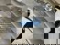 Фото FLRS 001000209 корзина сцепления KAMAZ 5490 с КПП ZF AS-Tronic 1