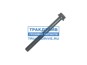 Фото HAFFEN 0466 болт ГБЦ BT, EQB (Длинный) (М12х120х1.75) 3920780