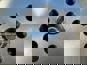 Фото HAMMER 070244 маховик для Ивеко Дейли III 3.0 06 8