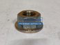 Фото IVECO 16750721 гайка пальца рессоры для Iveco Stralis M20x2,5 мм.