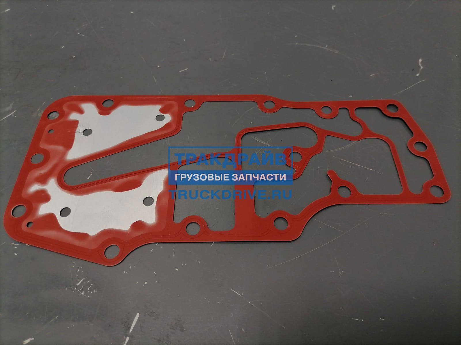 Прокладка головки маслоохладителя Case New Holland 2831317 IVECO купить ...