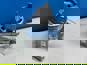 Фото IVECO 5801497334 муфта ТНВД Iveco Daily Euro 5 4