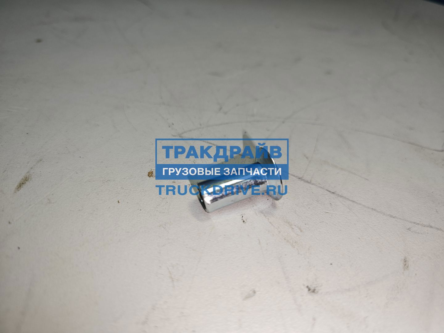 Фото JAC Q4640818F3 заклепка тормозной накладки для JAC N90 N120