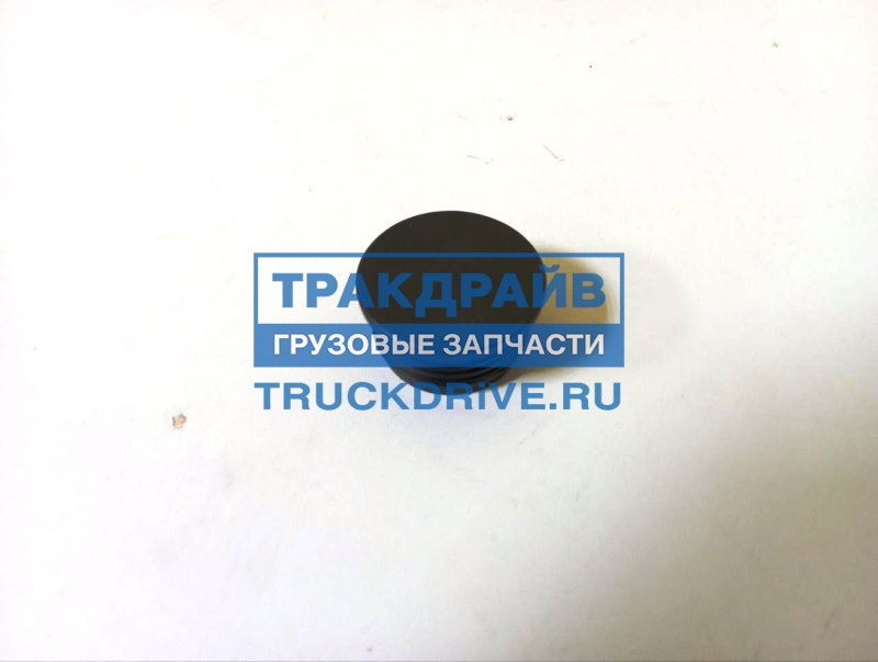 Заглушка КАМАЗ 5490 651178410045 KAMAZ купить недорого