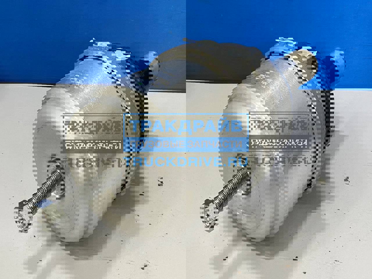 Энергоаккумулятор дискового тормоза Камаз 6520 6460 5460 Тип 12/20 ...