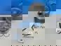 Фото KOLBENSCHMIDT 40836960УЦЕНКА поршневая группа для MAN D2066 Евро 5 (уценка-потертости и скол) 2