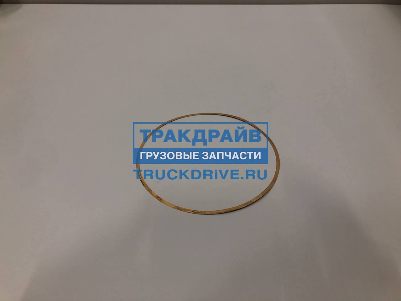 Фото LEMA 1941100 кольцо регулировочное гильзы Ивеко 0.10 мм