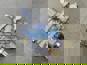 Фото LIUGONG 13C1499 регулятор давления пневмосистемы для фронтального погрузчика Liugong CLG856 