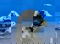 Фото LIUGONG SP129327 генератор для дизельного вилочного погрузчика CPCD15 CPCD35 14V 350W