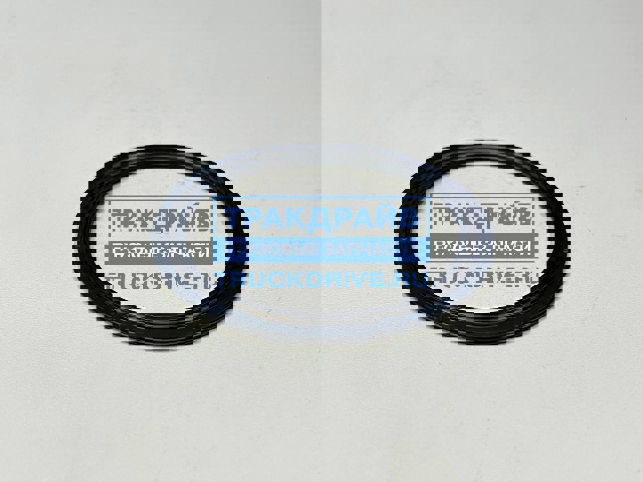 Sochli rus mushuk video