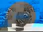 Фото MOVELEX WG9925160622MX диск сцепления для грузовиков Ситрак с КПП ZF