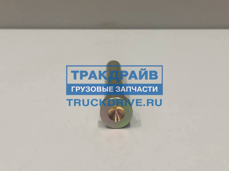 Палец дверной петли для Scania 94 114 124 144 164 2125180/Z MTX купить ...
