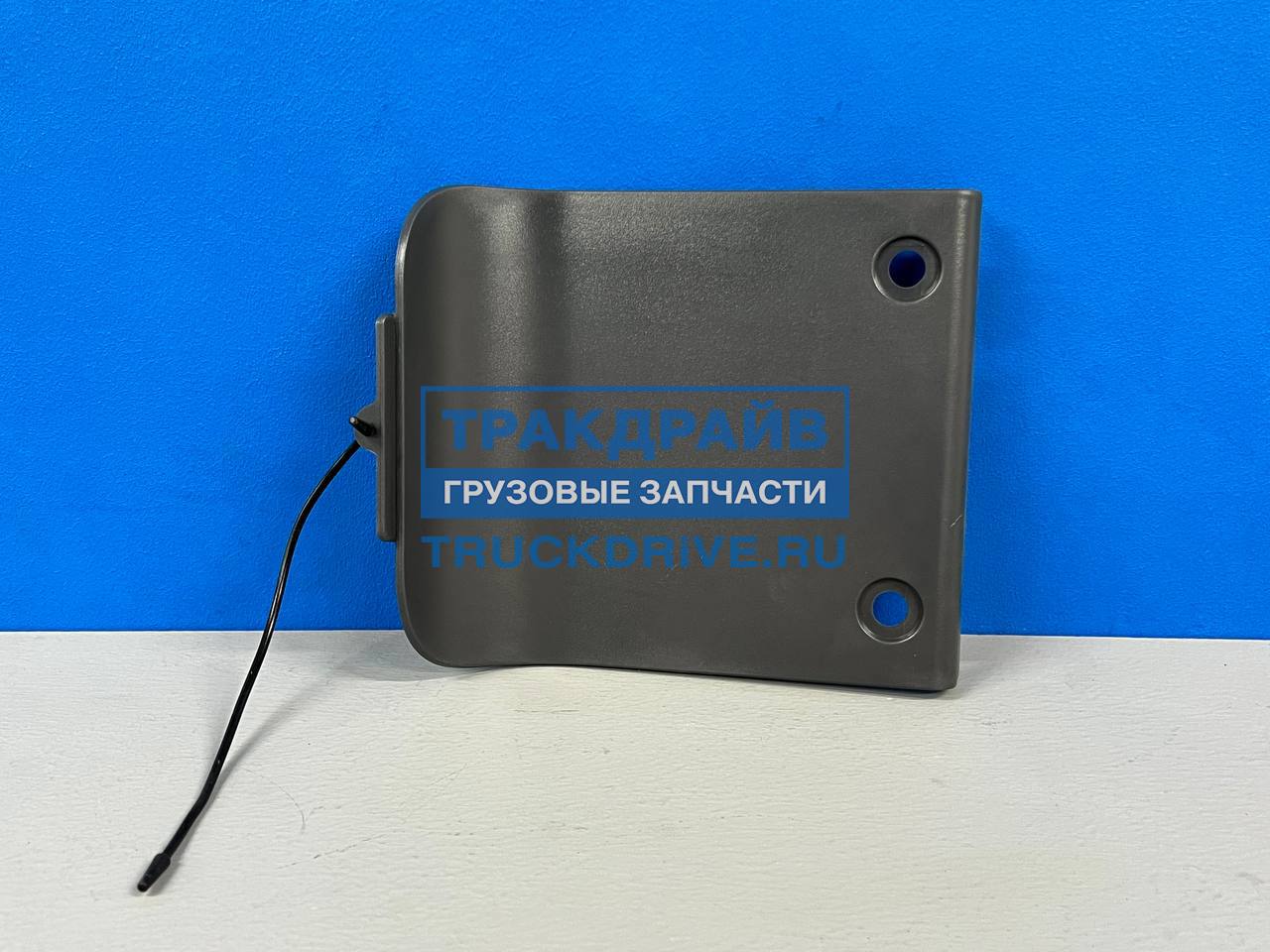 Заглушка правой подножки DAF 106 0303104112 R-TRUCK купить недорого
