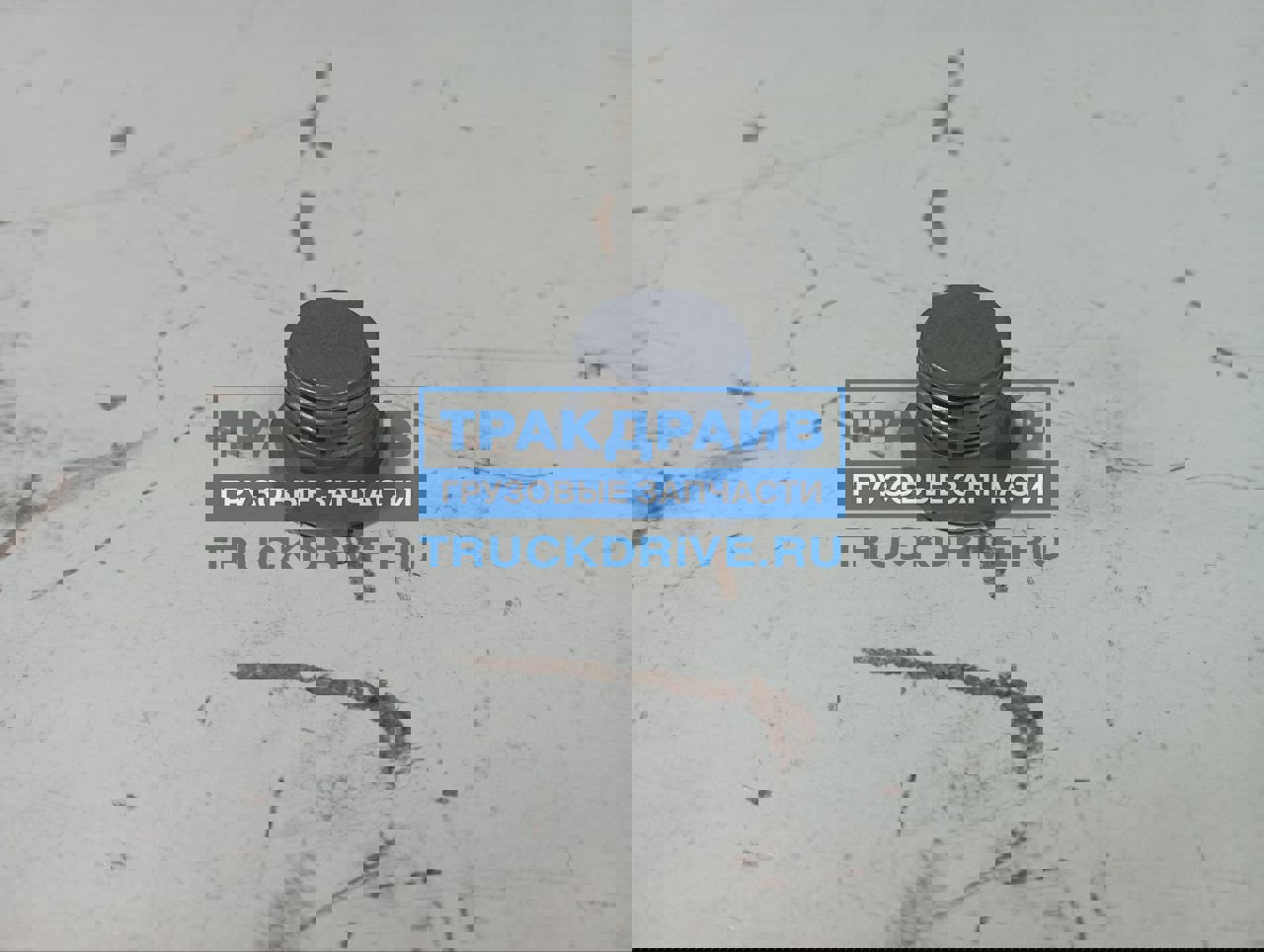 Заглушка корпуса коробки передач для Рено Магнум 7400966144 RENAULT ...